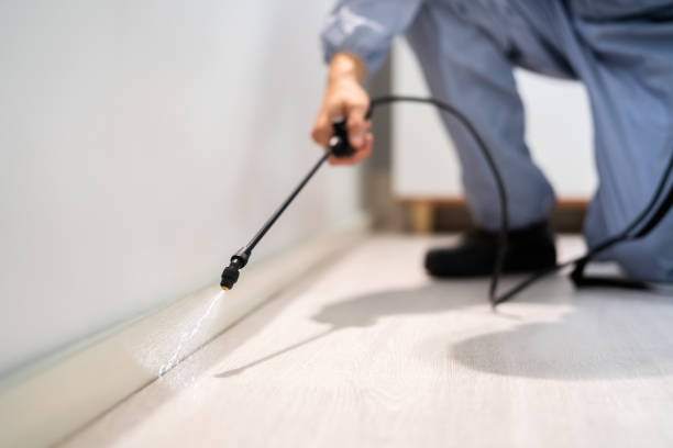 Licensed Cockroach Control service in Brown County County, NE - Nex Pest Control